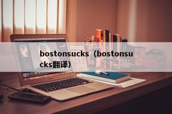 bostonsucks（bostonsucks翻译）