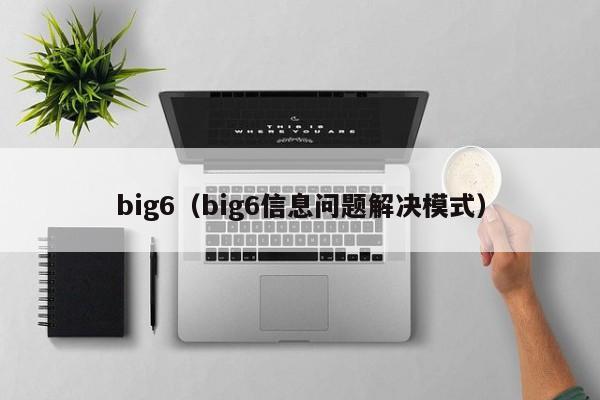 big6（big6信息问题解决模式）